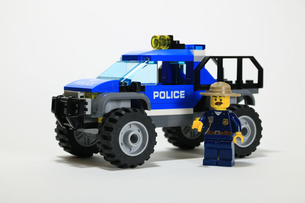 Police Chief
